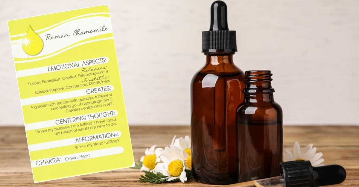 Roman Chamomile and Your Life Purpose / Fulfillment - Essential Oils and Music