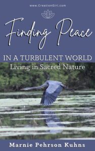 Finding Peace in a Turbulent World: Living in Sacred Nature